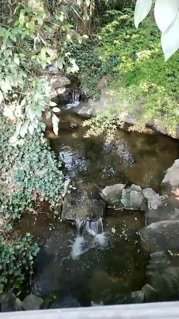 获评上海市年度品牌!来看文汇路新风景→