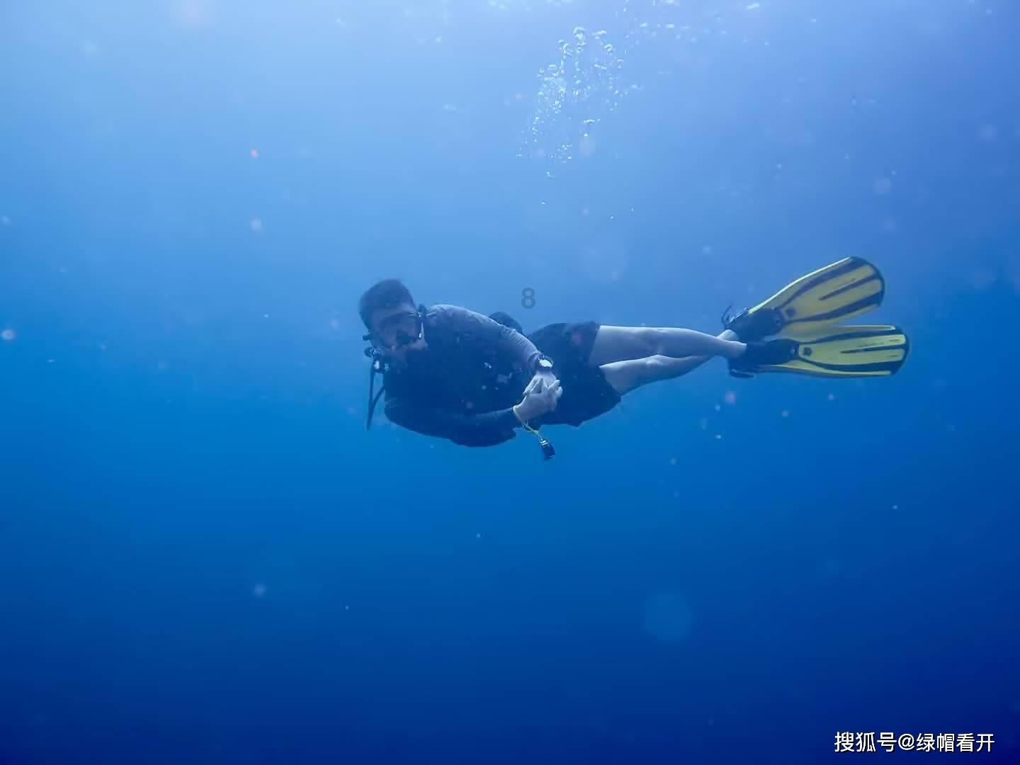 入门即高配卷出新高度 型格斩获大湾区单月销冠