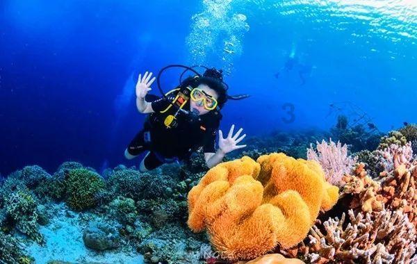 新一代“东本UR-V”上线,外观化身“大包子”,内饰换脸成功