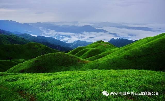 机智问答网页—找答案,就上一天吃几次一次吃几片