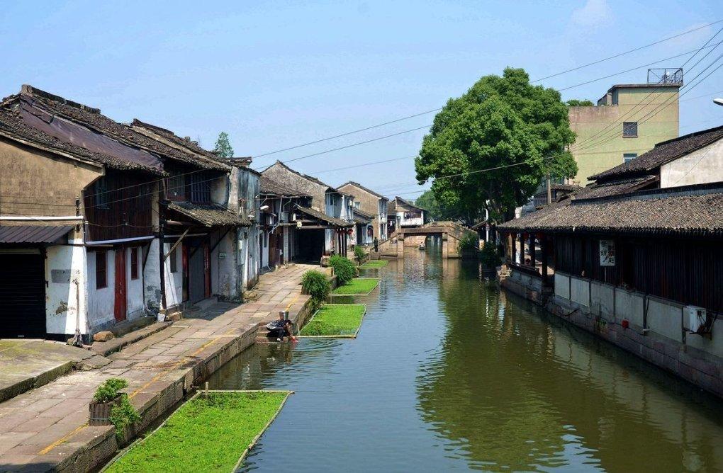救援采蜜人