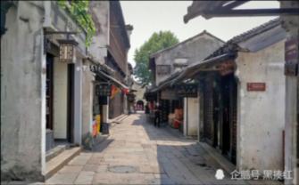 八路军突围,随行乞丐兜里装着小米,杨成武:就地枪毙!这是为何